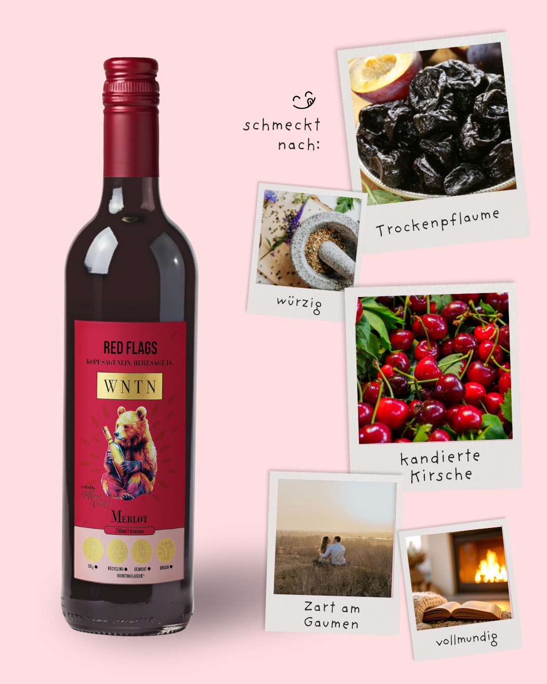 Starter Pack (5er Box)