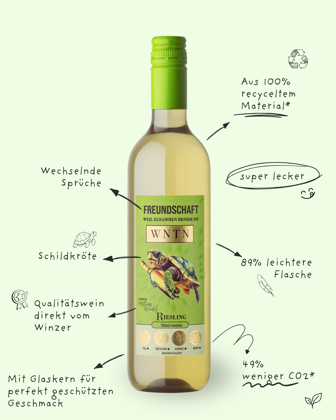 Starter Pack (5er Box)