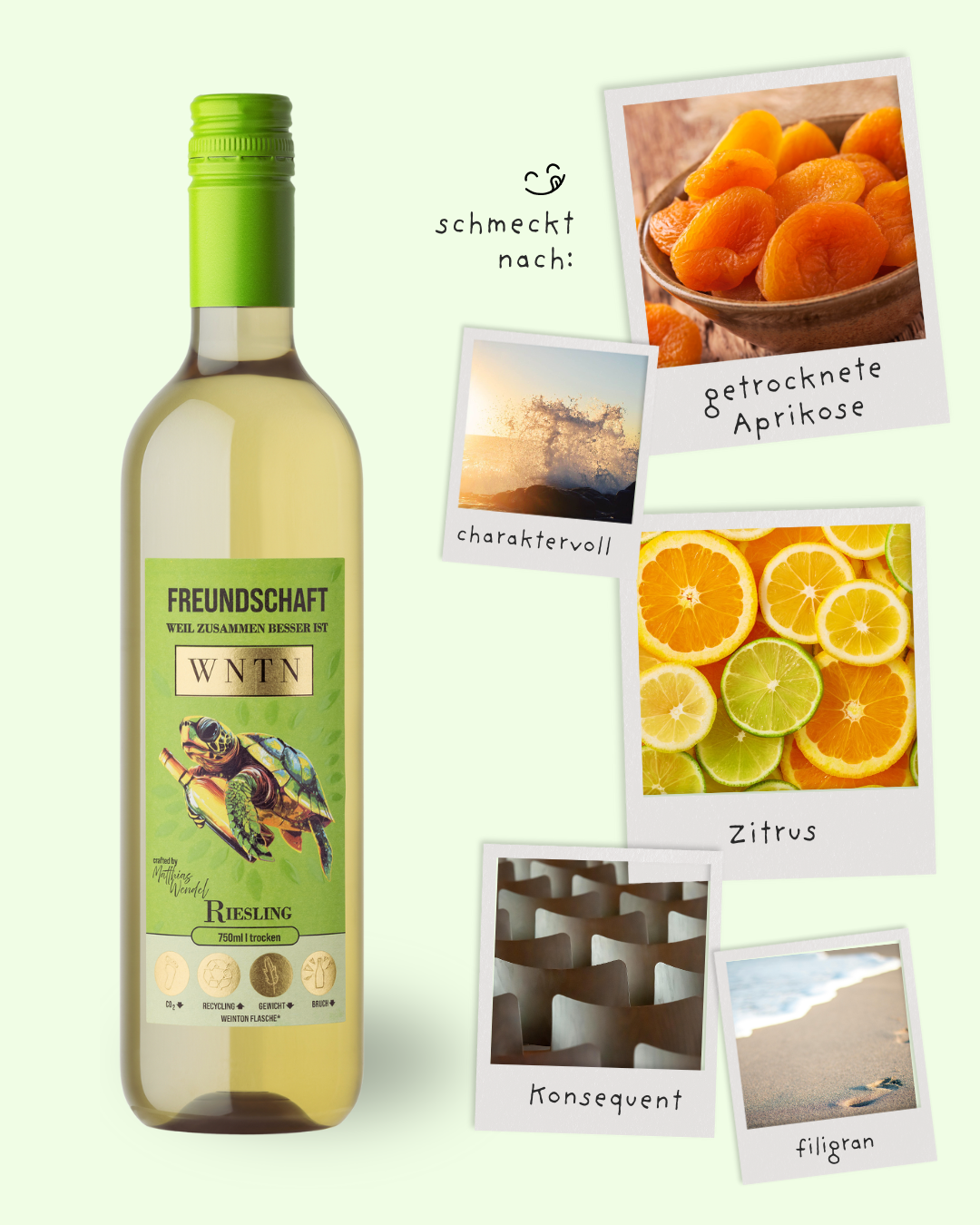 Starter Pack (5er Box)