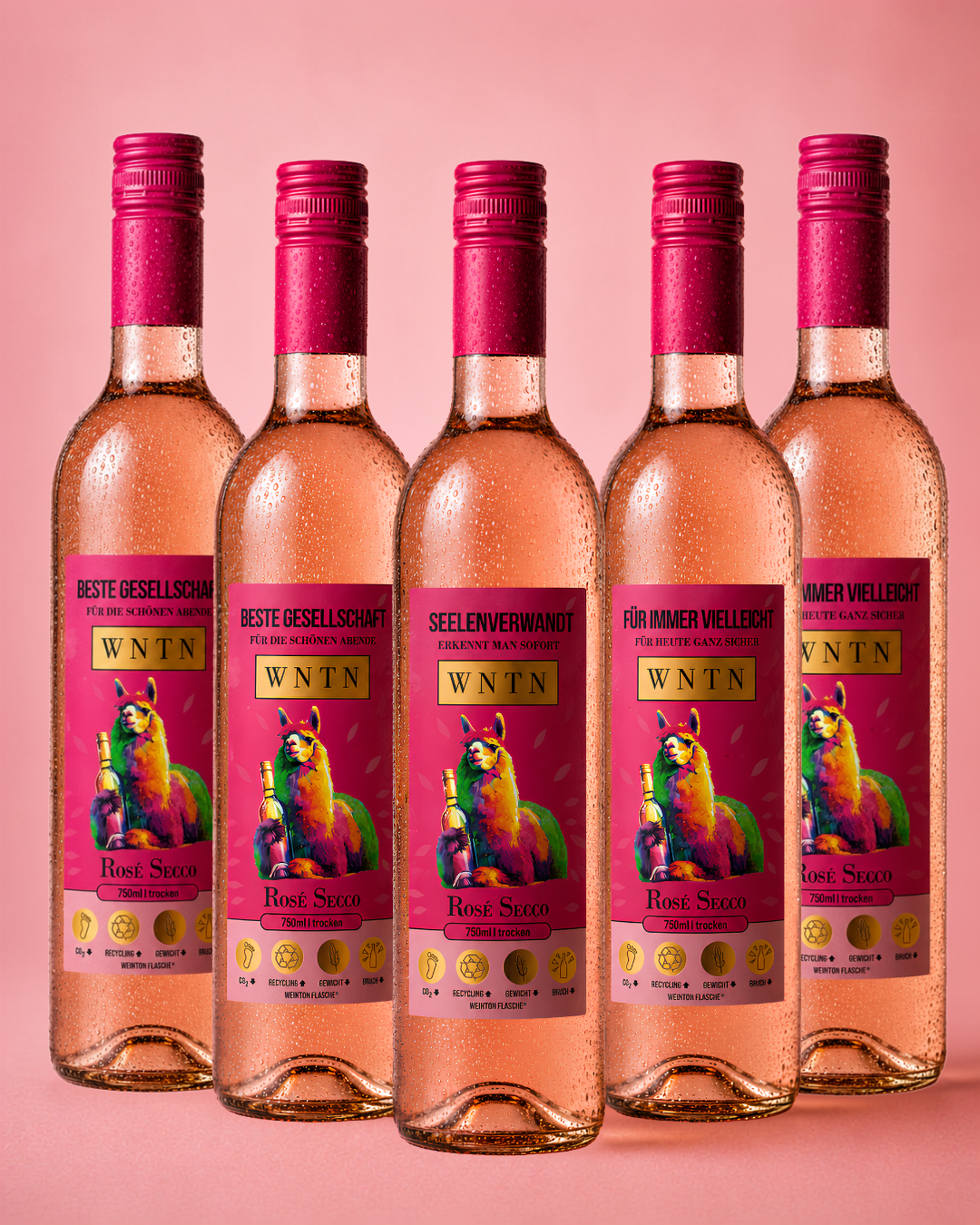 Rosé Secco (5er Box)