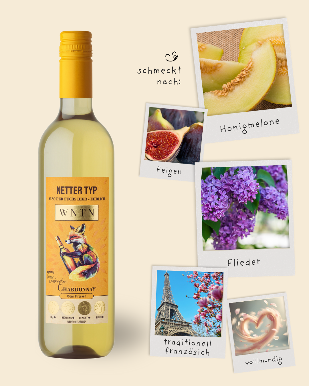 Starter Pack (5er Box)