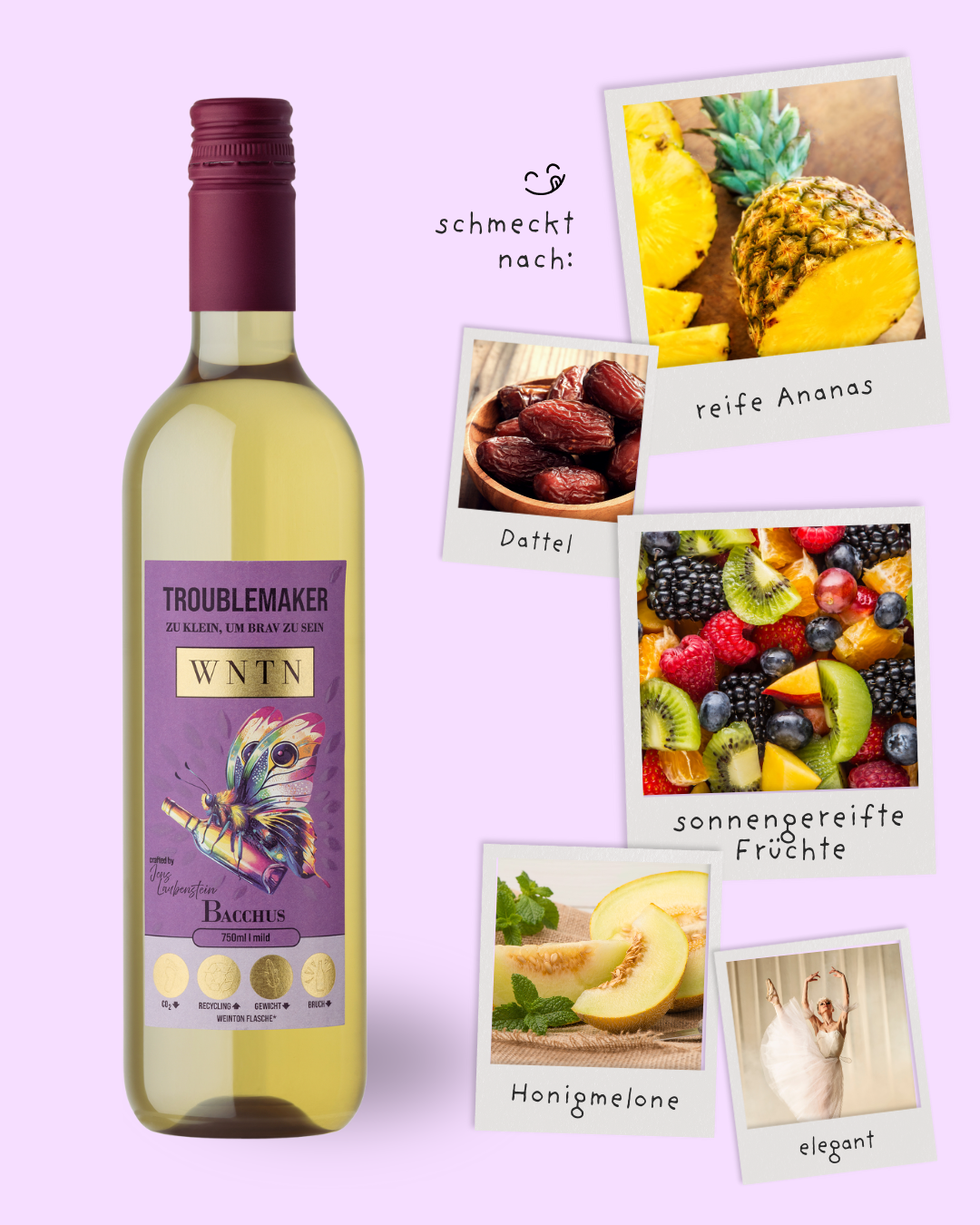 Starter Pack (5er Box)