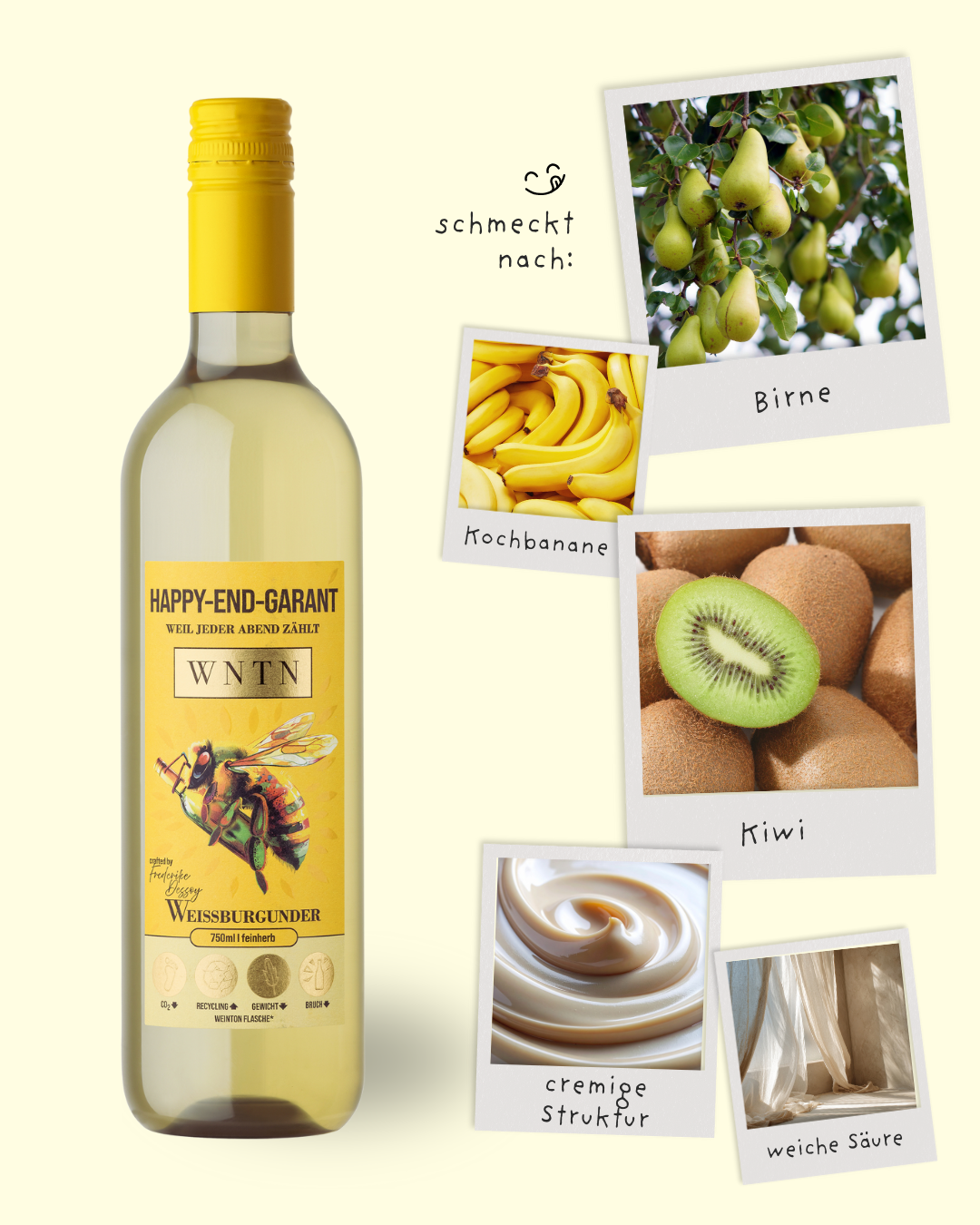 Starter Pack (5er Box)