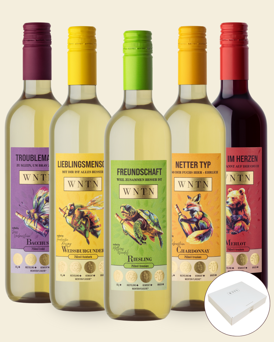 Starter Pack (5er Box)