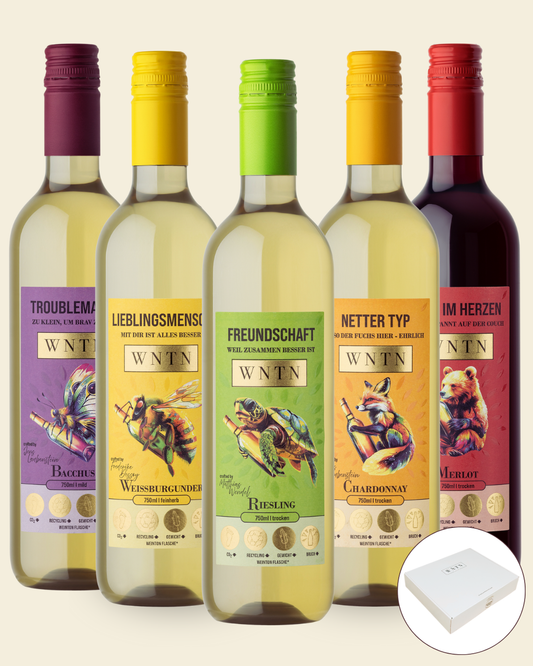 Starter Pack (5er Box)