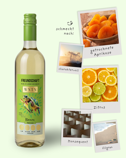 Starter Pack (5er Box)