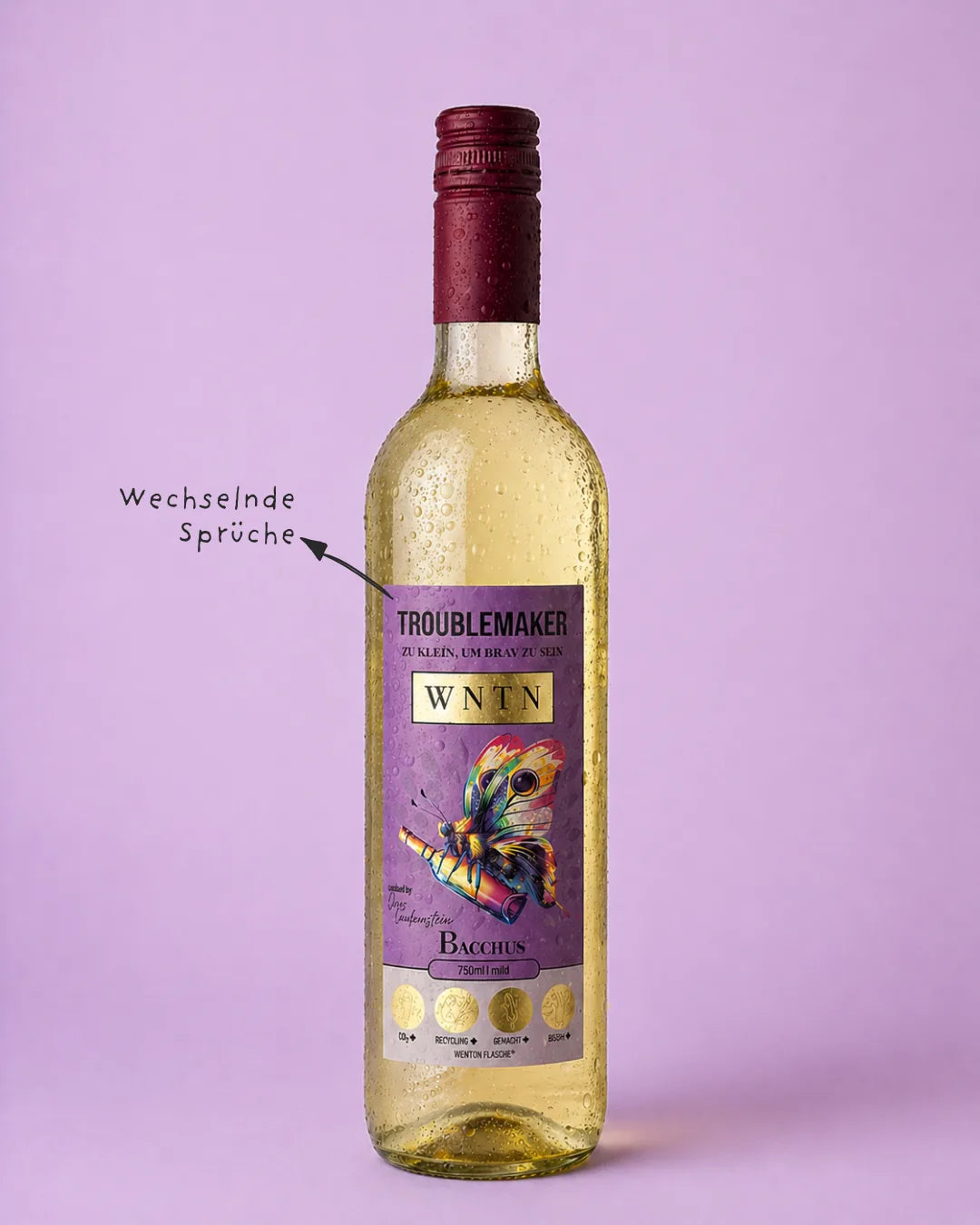 WNTN Bacchus mild in nachhaltiger Wein-Pfandflasche und Geschenkbox