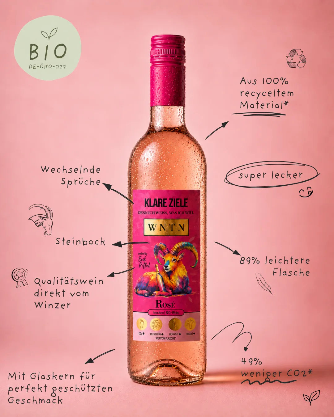 WNTN Bio Rose trocken in nachhaltiger Wein-Pfandflasche und Geschenkbox
