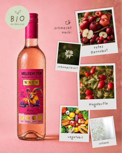 WNTN Bio Rose trocken in nachhaltiger Wein-Pfandflasche und Geschenkbox