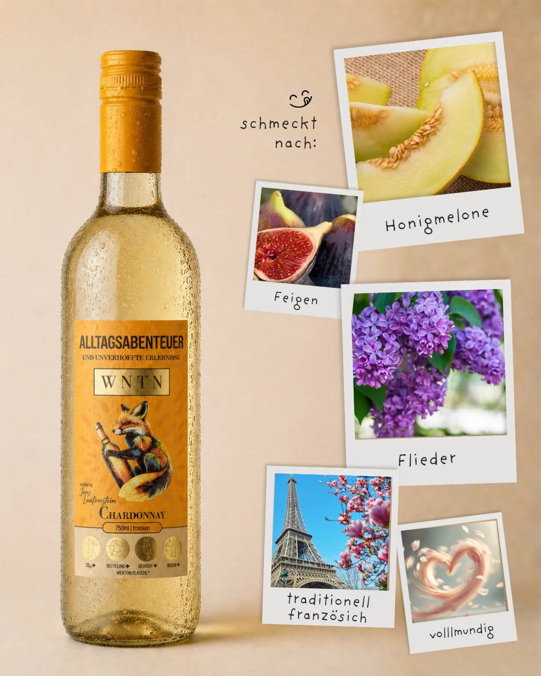 WNTN Chardonnay trocken in nachhaltiger Wein-Pfandflasche und Geschenkbox