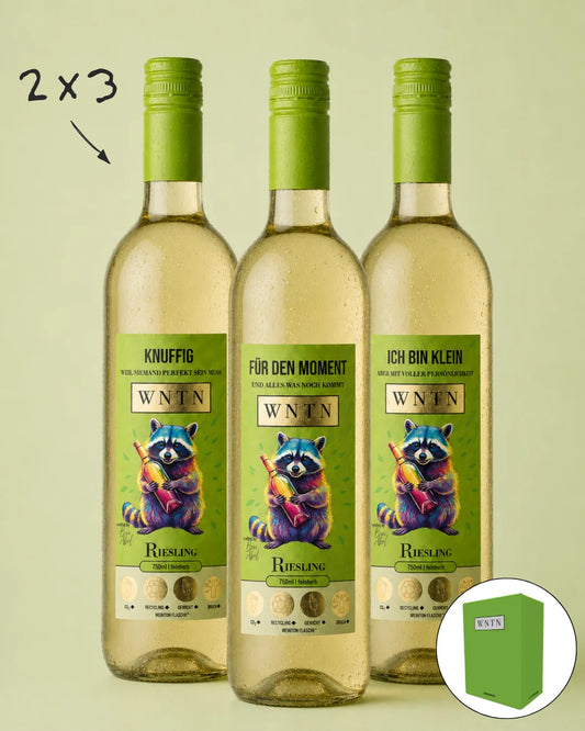 WNTN Riesling feinherb 6er Upsell