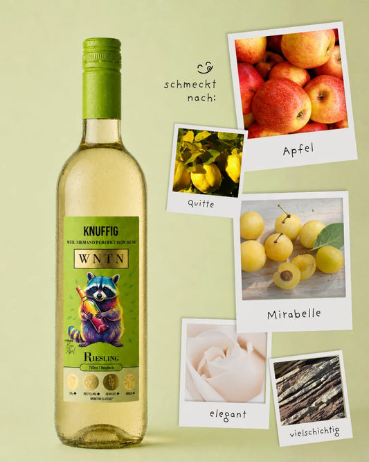 WNTN Riesling feinherb in nachhaltiger Wein-Pfandflasche und Geschenkbox