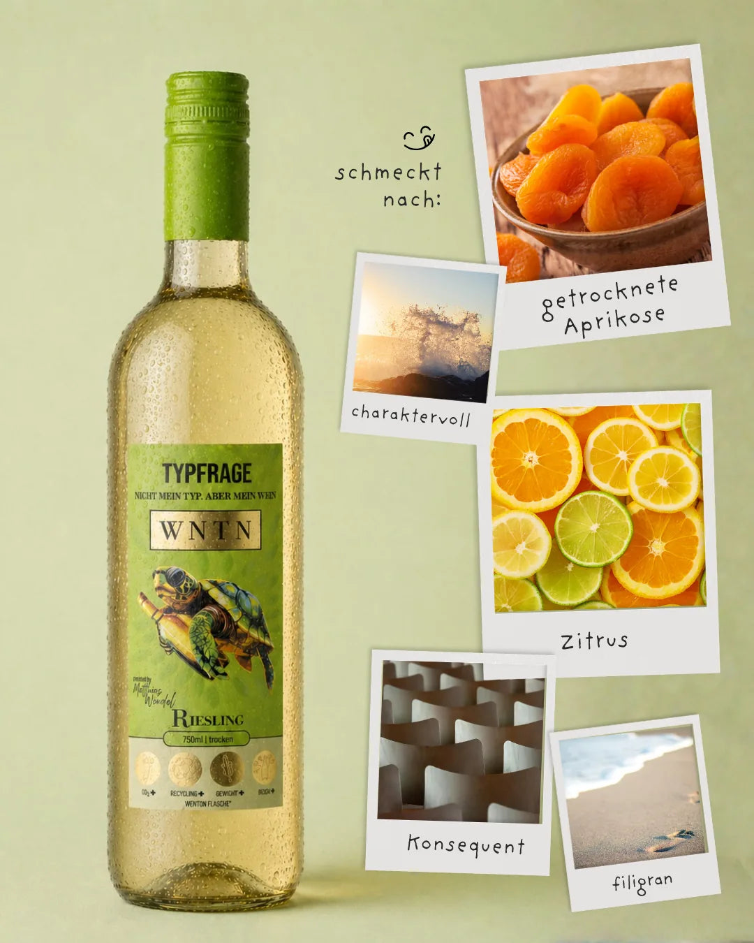 WNTN Riesling trocken in nachhaltiger Wein-Pfandflasche und Geschenkbox