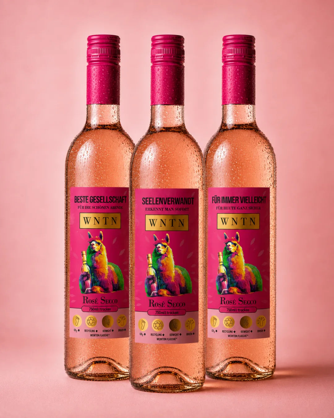 WNTN Rose Secco in nachhaltiger Wein-Pfandflasche und Geschenkbox