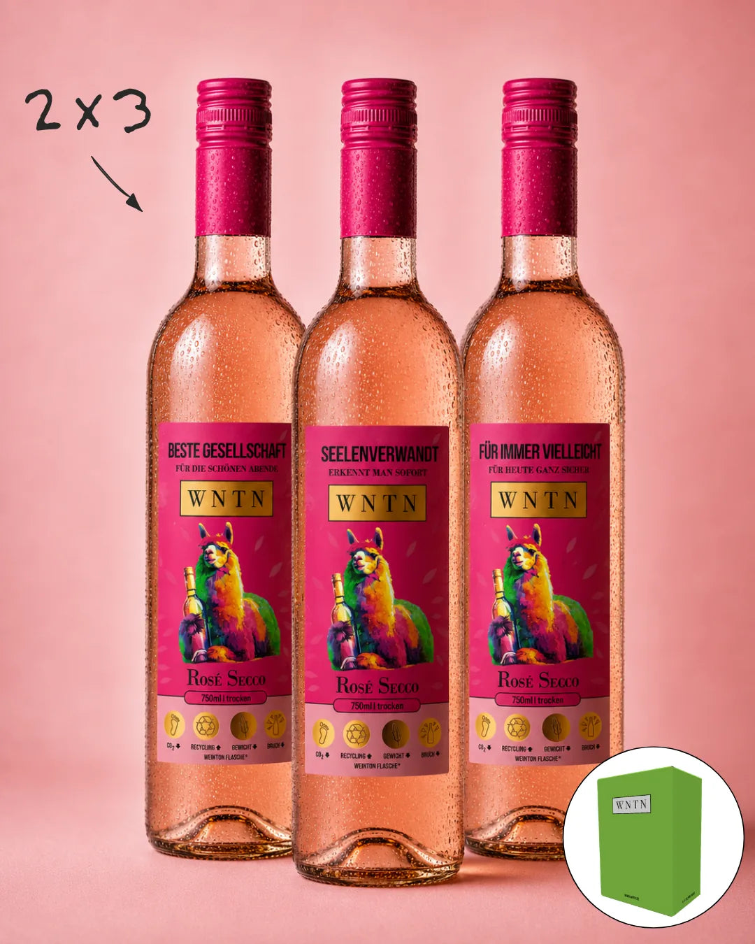 WNTN Rose Secco in nachhaltiger Wein-Pfandflasche und Geschenkbox