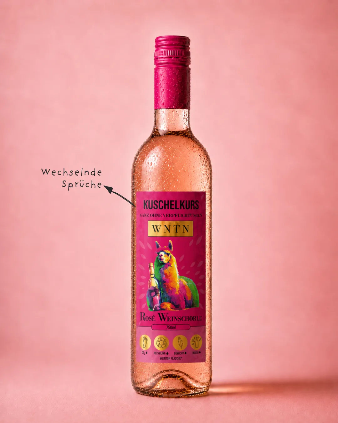 WNTN Rose Weinschorle in nachhaltiger Wein-Pfandflasche und Geschenkbox