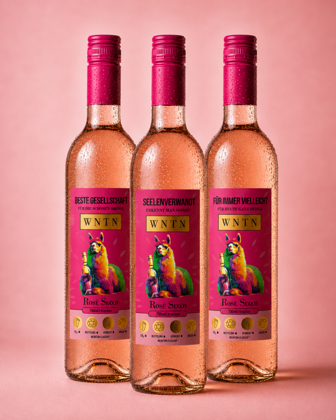 WNTN Rosé Secco in nachhaltiger Wein-Pfandflasche