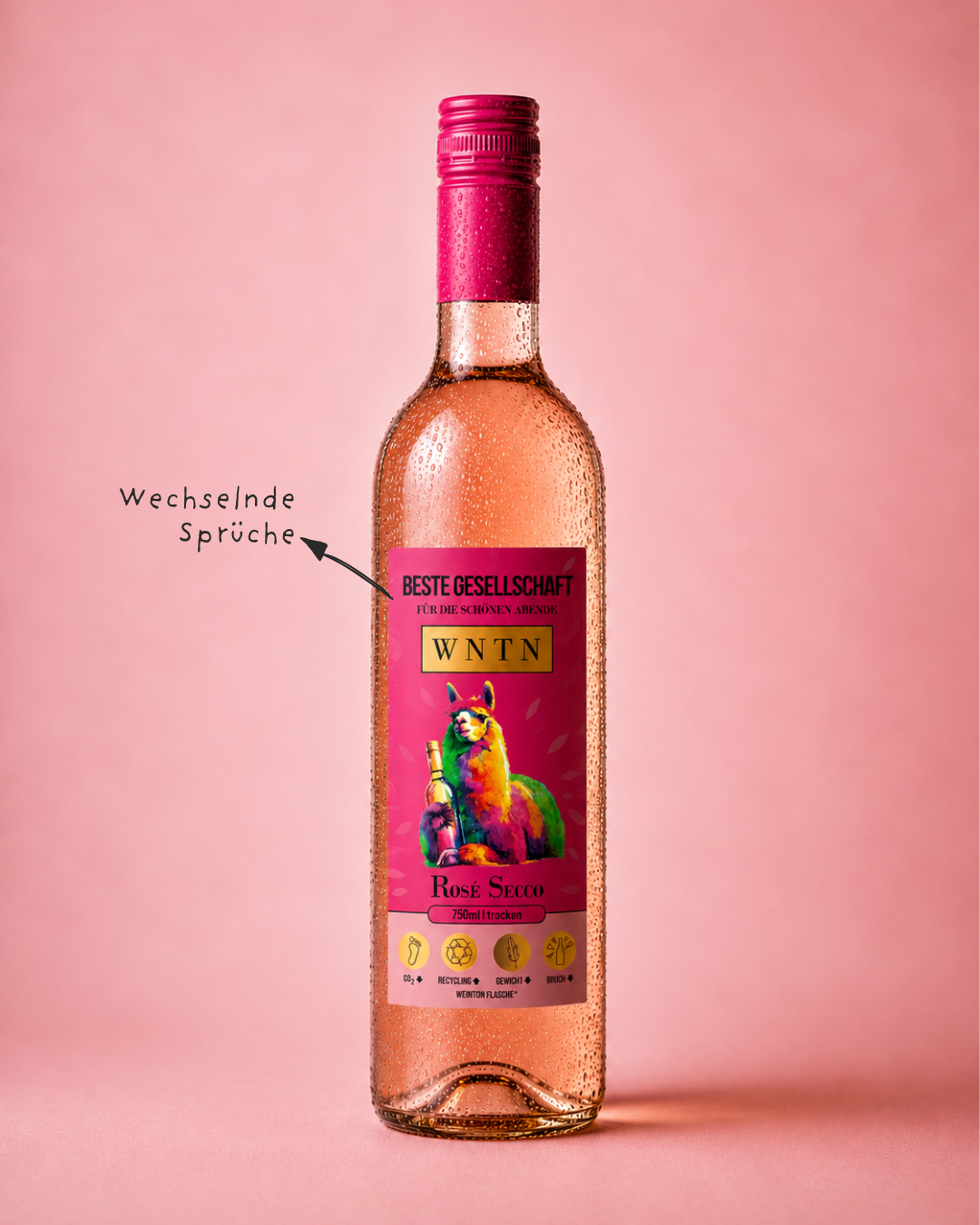 WNTN Rosé Secco in nachhaltiger Wein-Pfandflasche