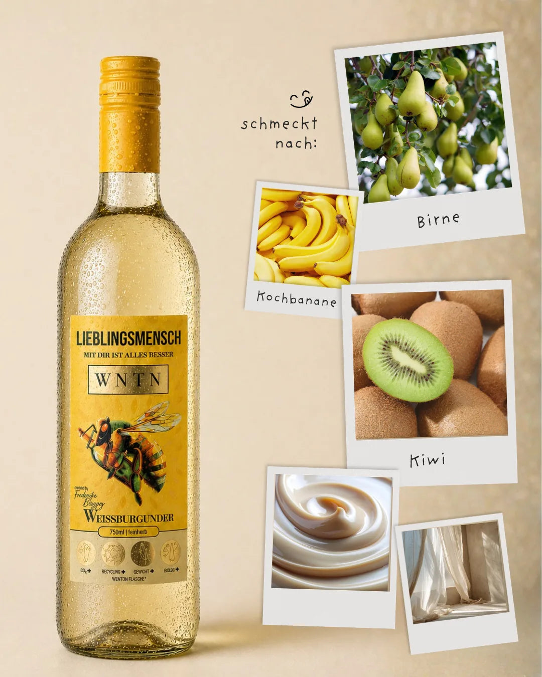 WNTN Weißburgunder feinherb in nachhaltiger Wein-Pfandflasche und Geschenkbox